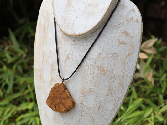 Unique Caapi vine necklace,handmade necklace, Banisteriopsis Caapi, Shamanism, Ceremony, Origin: Ecuador