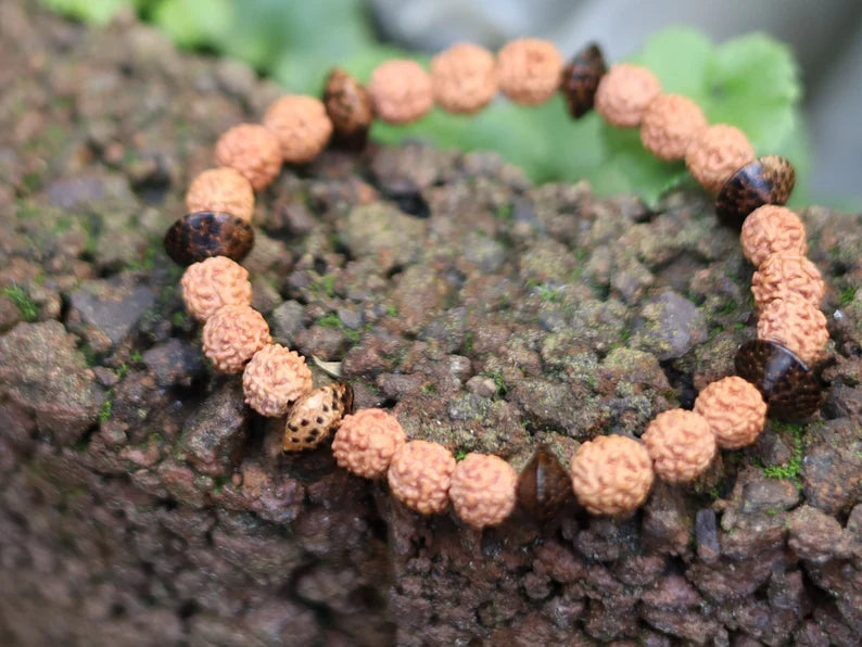 One of a kind Wajakaa bracelet! Round Rudraksha beads - made from the seeds of the Elaeocarpus Ganitrus tree. Combined +Patikan Palmwood
