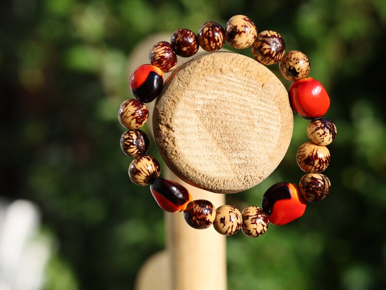 Unique Huayruro grande bracelet with Acai rajado beads. Beautiful seeds, but also because they are a good luck symbol.
