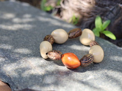 Beautiful large dark brown Kili seeds with Lumbang seed orange / light pink. Lumbang seeds are used for their protective properties
