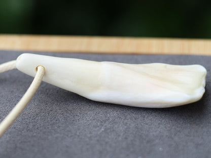 Large Native American Pendant: Buffalo Tooth. The buffalo tooth is a symbol of strength, resilience, and connection to nature.