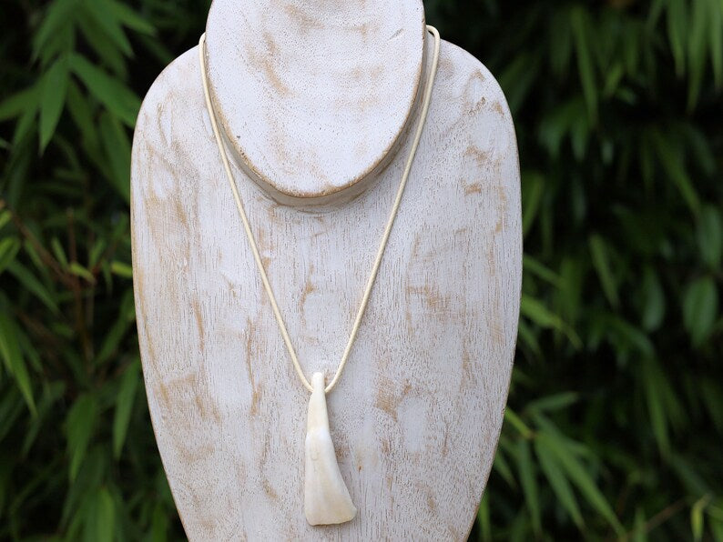 Large Native American Pendant: Buffalo Tooth. The buffalo tooth is a symbol of strength, resilience, and connection to nature.