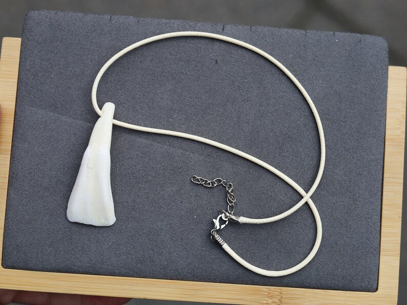 Large Native American Pendant: Buffalo Tooth. The buffalo tooth is a symbol of strength, resilience, and connection to nature.