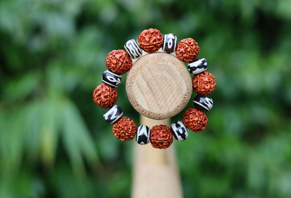 Super 18 mm Rudraksha bead bracelet combined with Tibetan Style dZi Beads, Natural Agate Beads, Dyed & Heated, Oval, Mixed Pattern