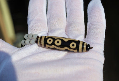 Double Tiger Tooth, or Tasso pendant necklace.  It is also revered as a spiritual object, capable of keeping away evil things