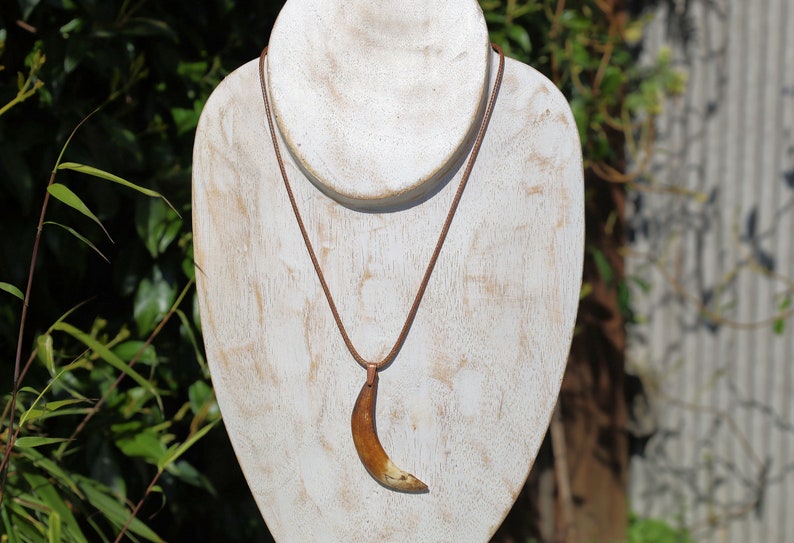 Wild Boar Teeth Natural Bone necklace. hunting traditions and are worn as symbols of bravery,strength,and connection to the outdoors