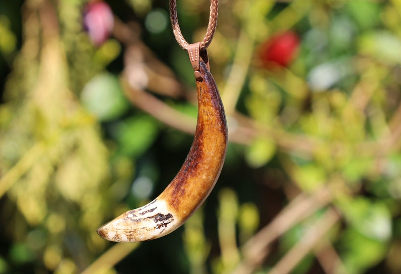 Wild Boar Teeth Natural Bone necklace. hunting traditions and are worn as symbols of bravery,strength,and connection to the outdoors