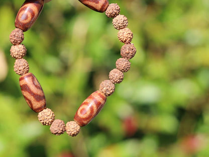 Tibetan Two-Eyed Dzi & Rudraksha Bracelet – Harmony and Unity. it represents harmony, love, and partnership