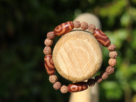 Tibetan Two-Eyed Dzi & Rudraksha Bracelet – Harmony and Unity. it represents harmony, love, and partnership