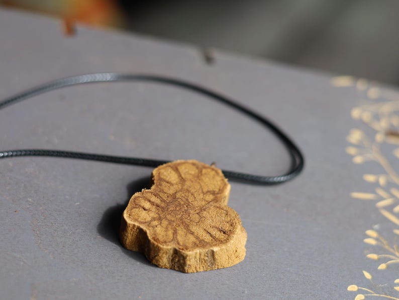 Unique Caapi vine necklace, Ayahuasca, necklace, Banisteriopsis caapi, DMT, Dimethyltryptamine, Shamanism, Ceremony, Origin: Ecuador