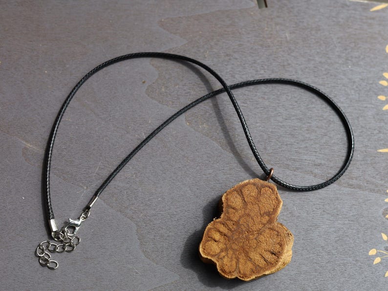 Unique Caapi vine necklace, Ayahuasca, necklace, Banisteriopsis caapi, DMT, Dimethyltryptamine, Shamanism, Ceremony, Origin: Ecuador
