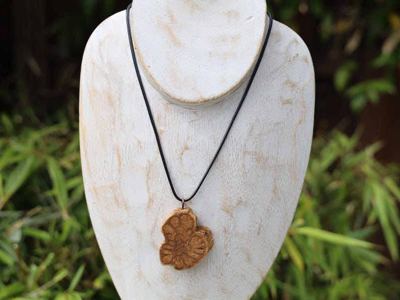 Unique Caapi vine necklace, Ayahuasca, necklace, Banisteriopsis caapi, DMT, Dimethyltryptamine, Shamanism, Ceremony, Origin: Ecuador