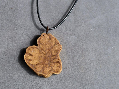 Unique Caapi vine necklace, Ayahuasca, necklace, Banisteriopsis caapi, DMT, Dimethyltryptamine, Shamanism, Ceremony, Origin: Ecuador